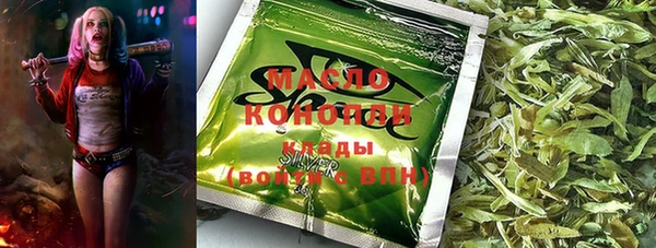 мдпв Семилуки