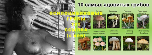 ешки Семикаракорск