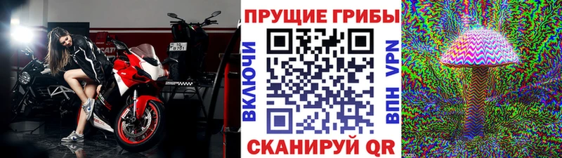 это состав  Дятьково  Псилоцибиновые грибы прущие грибы  как найти наркотики  omg tor 