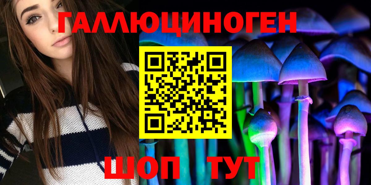 Дятьково  Псилоцибиновые грибы Psilocybine cubensis  Галлюциногенные грибы Psilocybe  Вход с VPN 