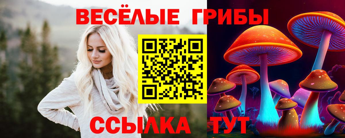 Псилоцибиновые грибы Psilocybine cubensis Дятьково